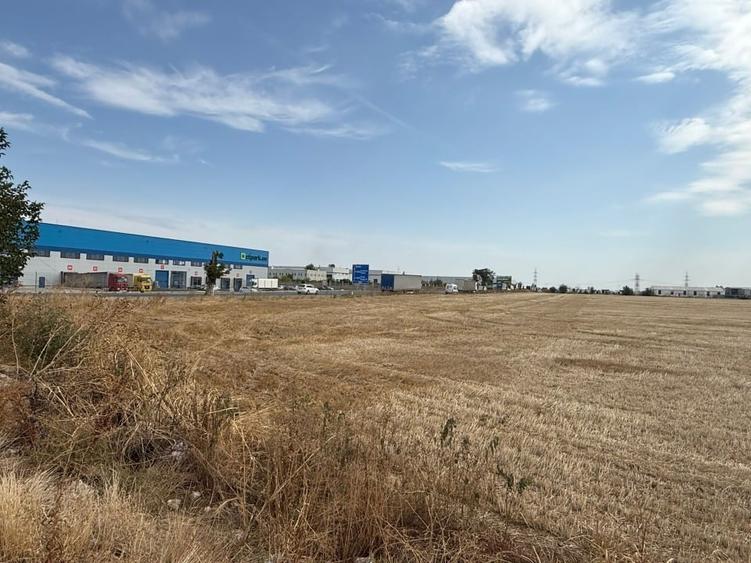 Teren intravilan 5.000 mp – Popești-Leordeni, Șos. de Centură / DN4 - 2