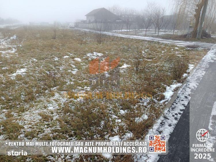 Teren Bradu, 3500 mp, intravilan, drum pe 3 laturi, toate utilitatile - 4