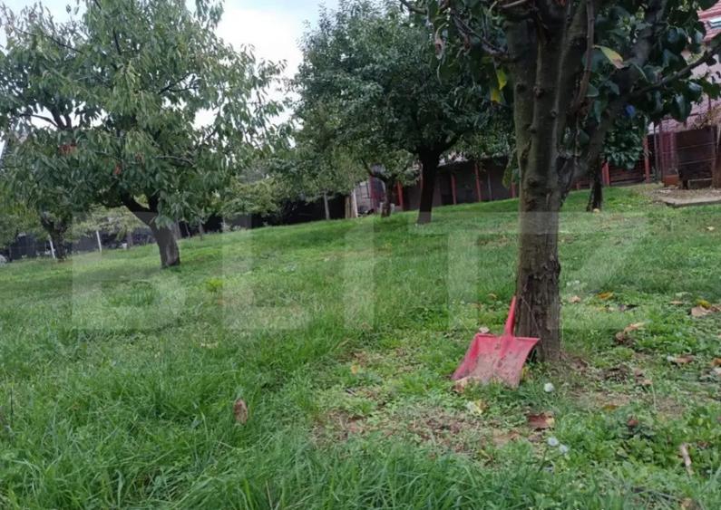 Teren Intravilan Centru Paulesti, parcelabil ,potential enor - 2