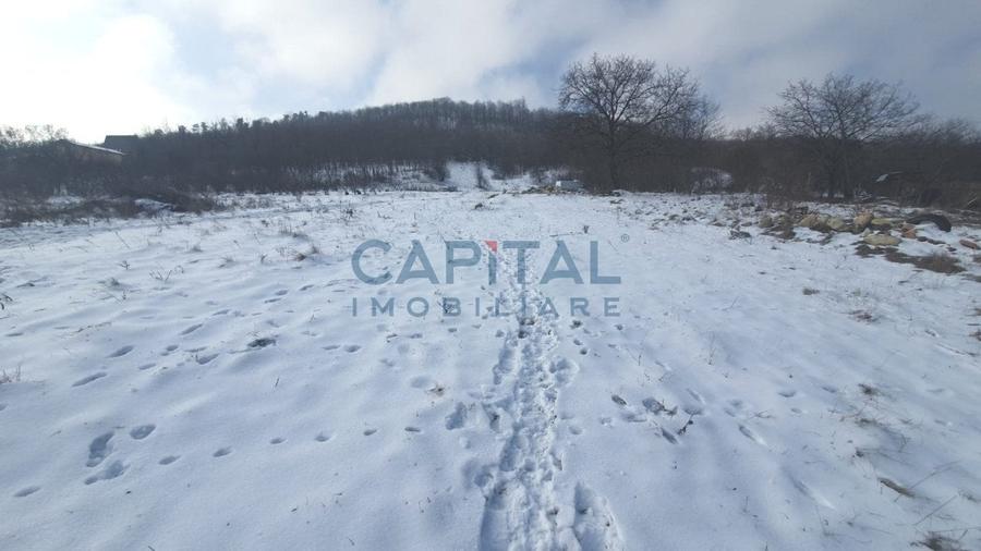 Comision % Teren de vanzare, Tg Neamt - 2