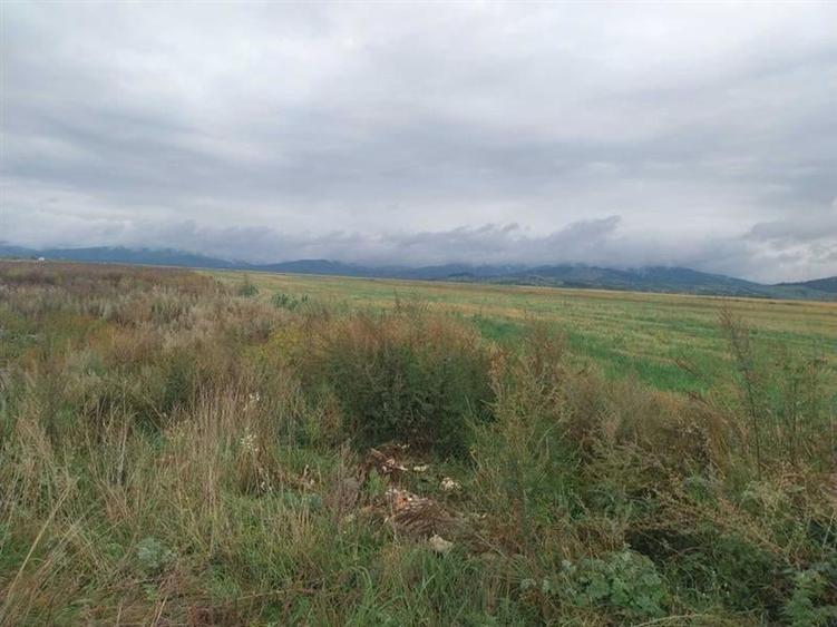 33.100mp, Tarlungeni, Brasov - 8