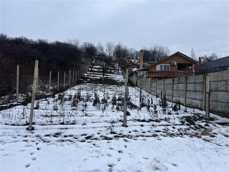 RECO teren intravilan Oradea - 4