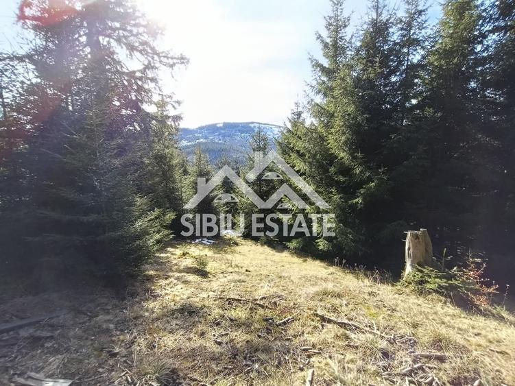 Teren de vânzare în zona montană a județului Alba - 3