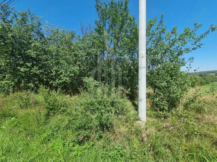 EXCLUSIVITATE! Teren la ?oseaua principala | Tocile - 4