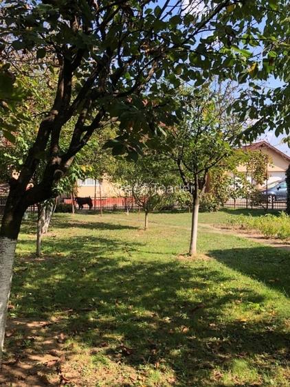 Casă cu grădină, foișor și garaj dublu de vânzare - zona Cicârlău