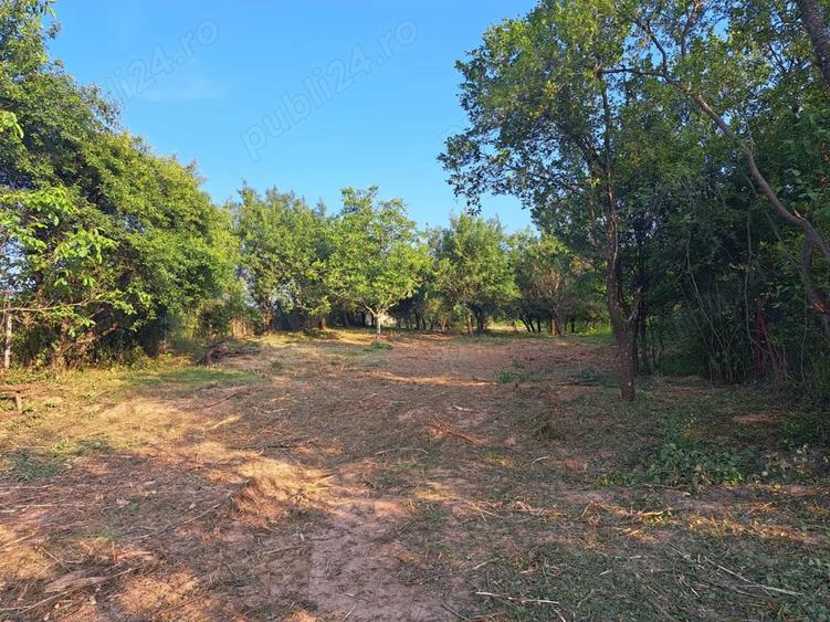Casa cu anexe gospodaresti si teren aferent, 36 ari. - 1