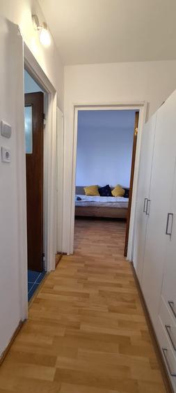 Lacul Tei - Apartament 2 camere - renovat - mobilat si utilat modern, et 6 - 20