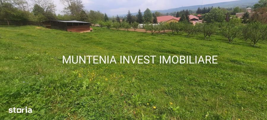 Proprietate de vanzare tip ferma, teren 28150 mp. Balilesti, Arges - 7