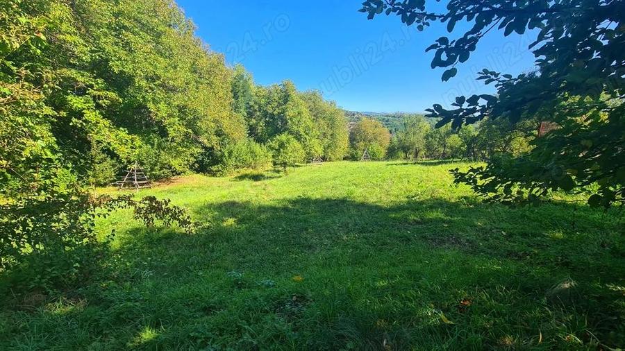 Casa la ro?u + 4391 mp teren de vanzare in comuna Valea Danului, sat Borobane?ti, jude? Arge?. - 15