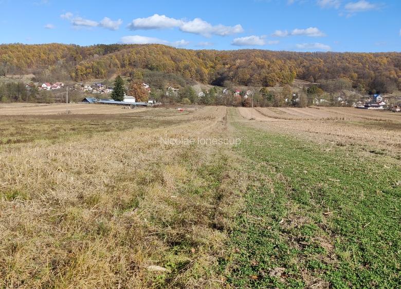 Vand 8000 mp teren extravilan Draganu-Prislopu Mare Vand 8000 mp teren extravilan Draganu-Prislopu Mare