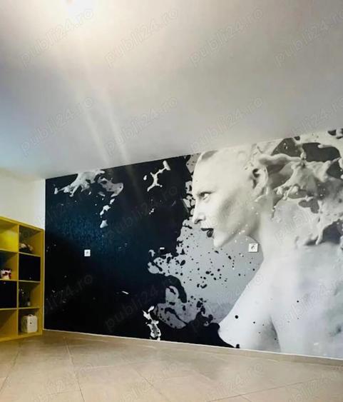 Spa?iu comercial 200 mp la strada Matei Basarab Pia?a Alba Iulia - 9