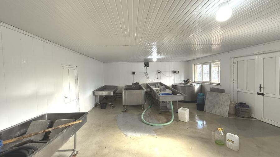 Făbrică de producție brânzeturi, Business funcțional, 25 de ani activitate - 6