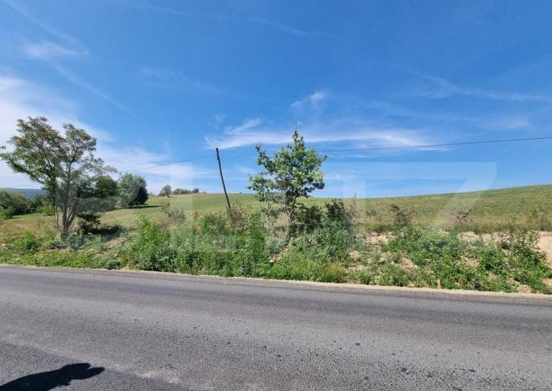 Teren in Vulcan pentru case de vacanta - panorama catre Munt - 2