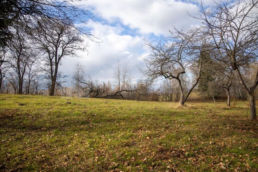 Teren intravilan, cu PUZ, Bran Tohanita,  SE ACCEPTĂ ȘI SCHIMB - 21