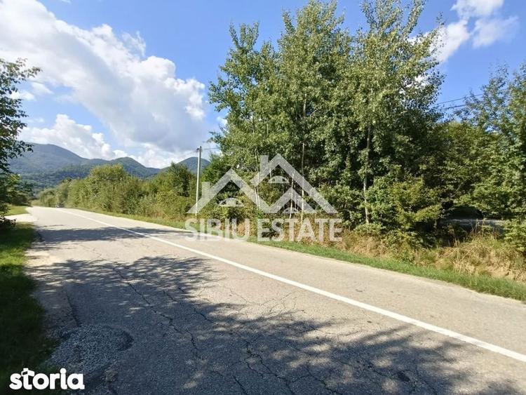 Teren construibil ,la sosea, intre Vale si Sibiel, zona cu potential - 9