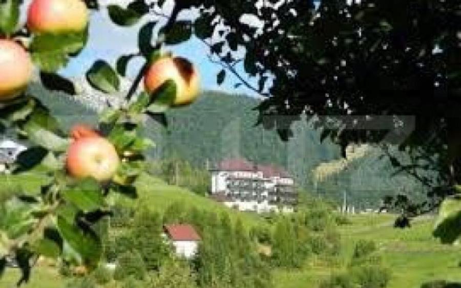 Teren 13.570 mp, Moieciu Pestera - 16