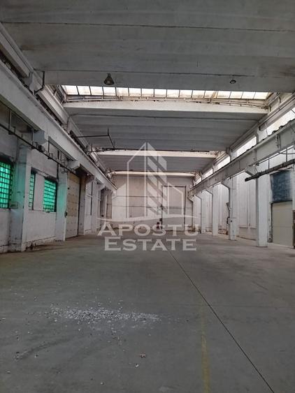 Hala Industriala, Sanicolau Mic - 2