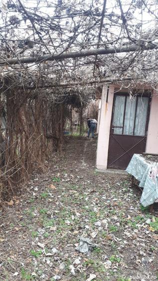 casa + teren bolintin vale - 4