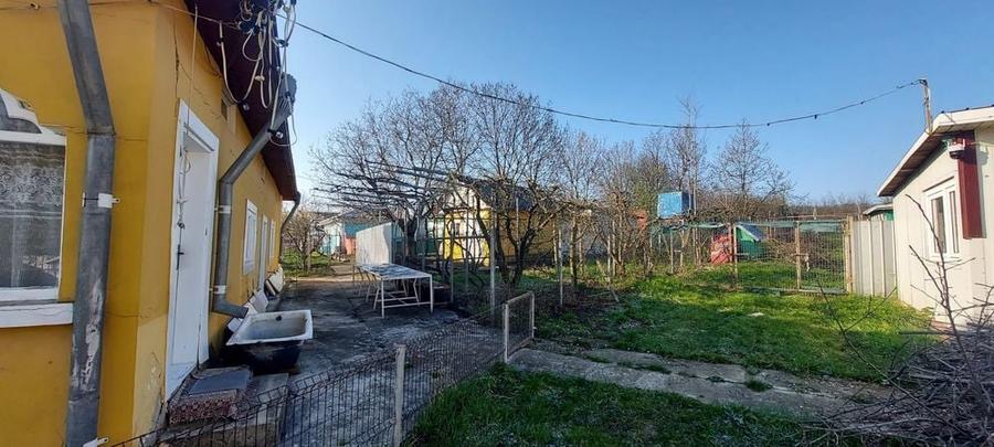 Gospodarie si livada 10.000 mp - 3