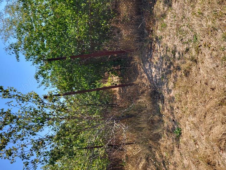 Casa si teren de vanzare in Peris Ilfov - 10