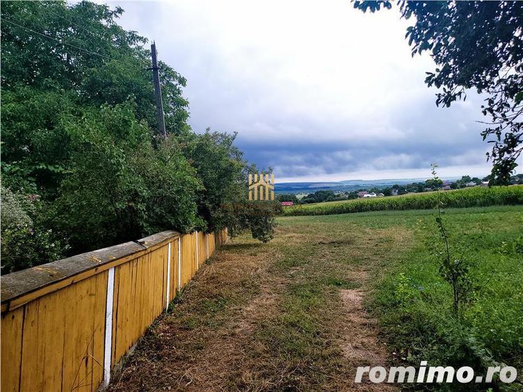 Casa Orheienilor! - 15