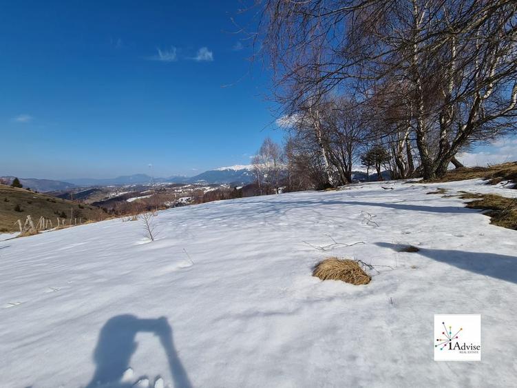 Teren De Vanzare In Sirnea - 22