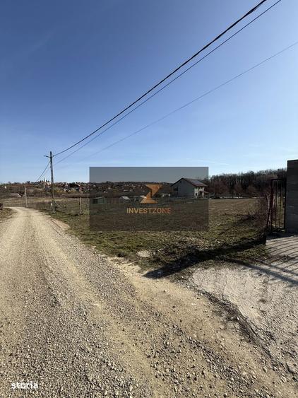 Teren intravilan 700 mp cu utilita?i in Paleu - 4