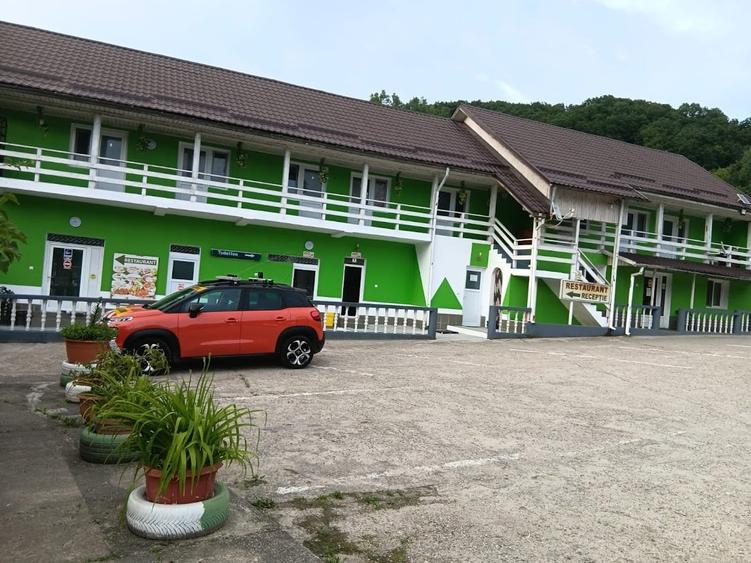 Vand pensiune si hotel la DN7/E81 Pitesti- Rm Valcea, teren 4 ha, 25euro/mp - 7