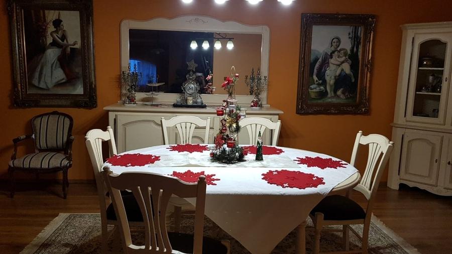 Sanandrei central casa vila 2-3 familii 280 mp-600 mp teren - 4