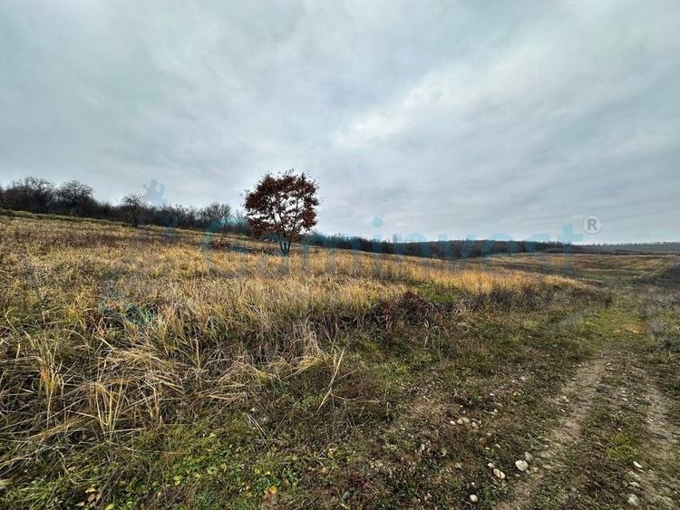 Teren intravilan de vanzare pentru dezvoltare imobiliara, Saldabagiu de Munte - 5