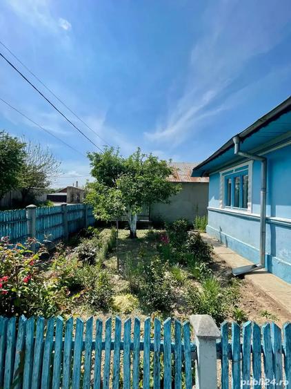 Casa de vanzare cu acces la Bra?ul Borcea, Bordu?ani - 5