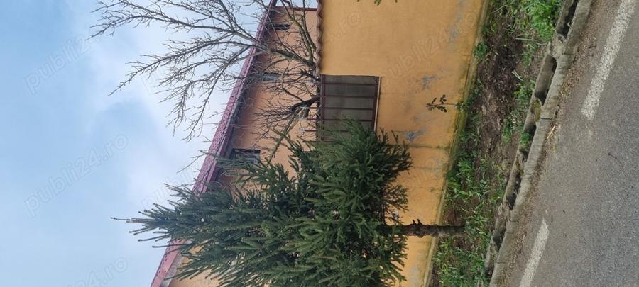 Proprietate de vinzare - 3