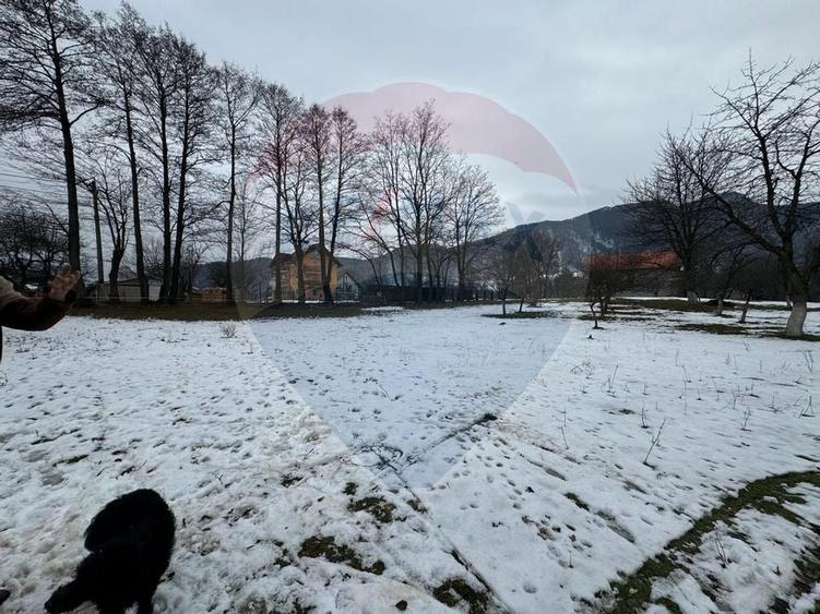 Teren Zarnesti /Bran/Predelut6 Strada Pe tarina - 2