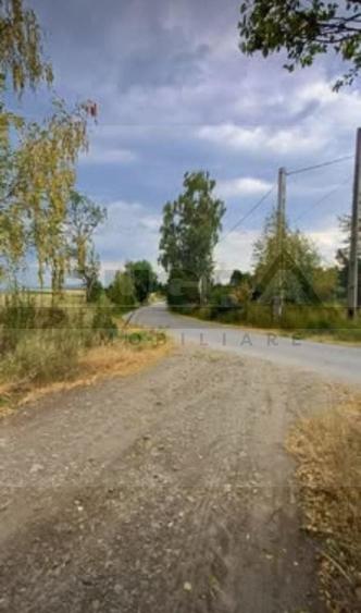 Teren Construcții extravilan de 4265 mp, în Dângău Mare