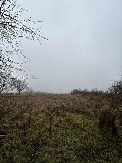 Teren+casa batraneasca - 3