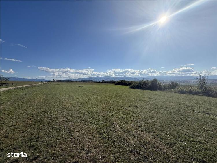 Teren de vanzare Sibiu - Selimbar zona Dealul Daii - Platoul Zorabia - 14