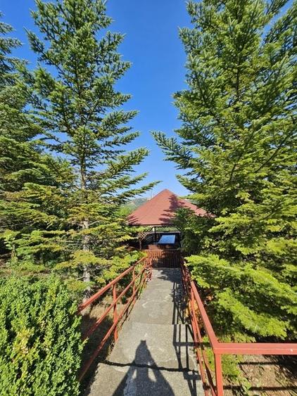 Vila superba de vanzare in Vintila Voda, Buzau D+P+1 si anexe - 15