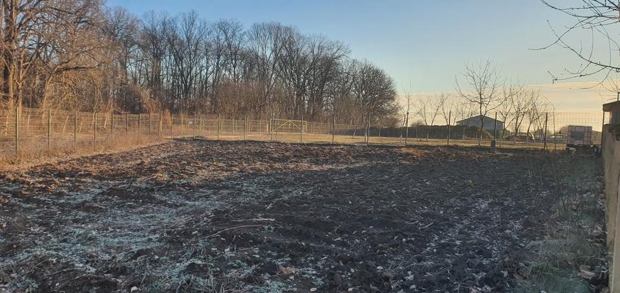 Snagov-Tancabesti, Teren de vanzare langa padure - 8