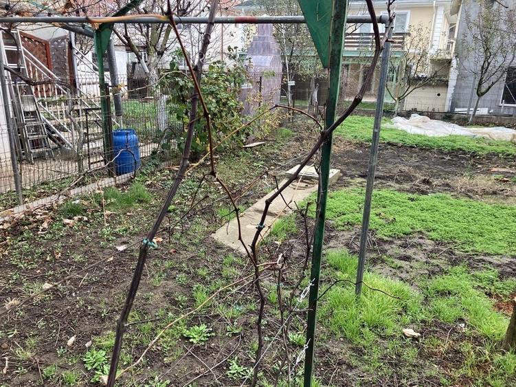 Casă cu 2 camere în Central