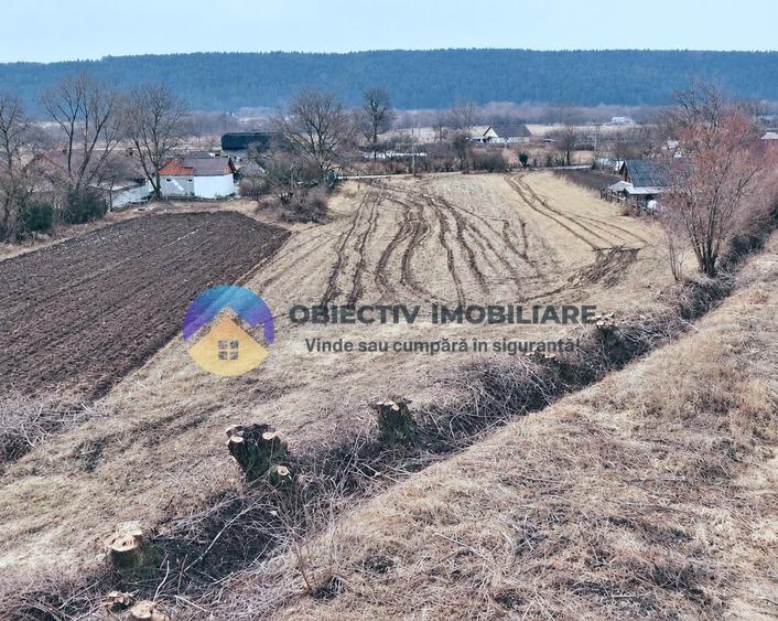 Teren intravilan de 10515 mp, în Bodești