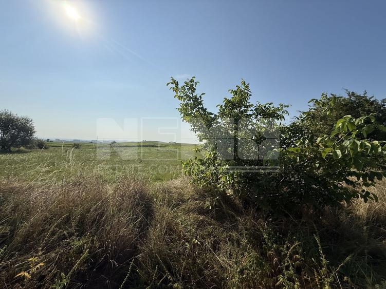Teren agricol extravilan de 2300 mp, în Est