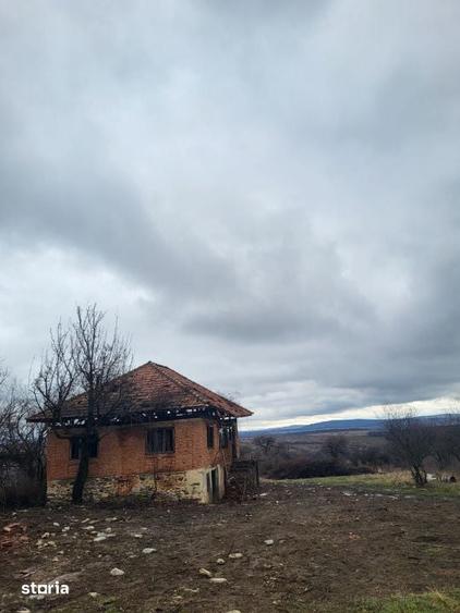 Teren de 3407 mp, în Mușetești
