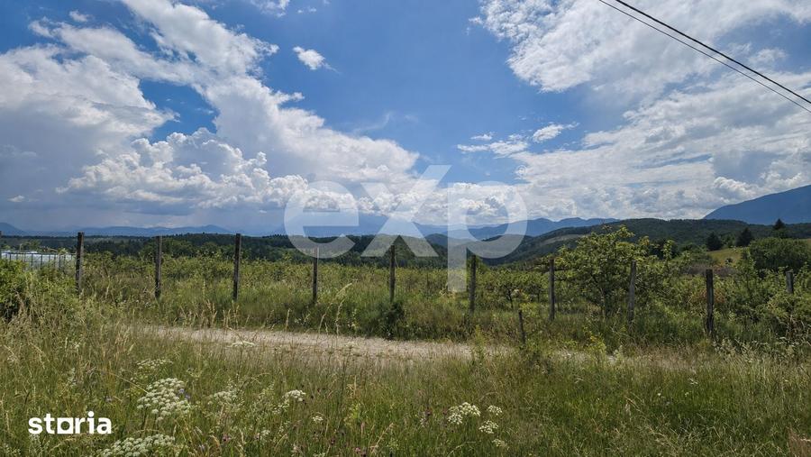 Teren de 7265 mp, în Vulcan