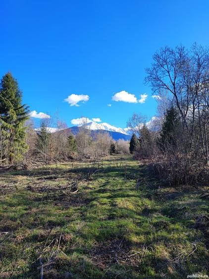 Teren de 2100 mp, în Central