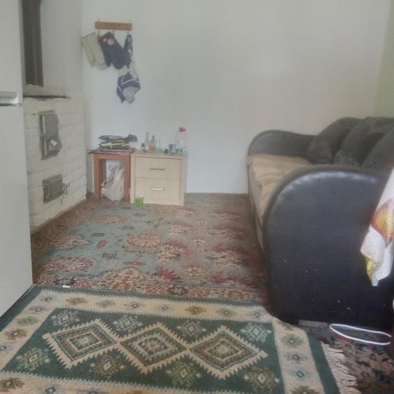 Casă individuală cu 2 camere în Baia de Criș
