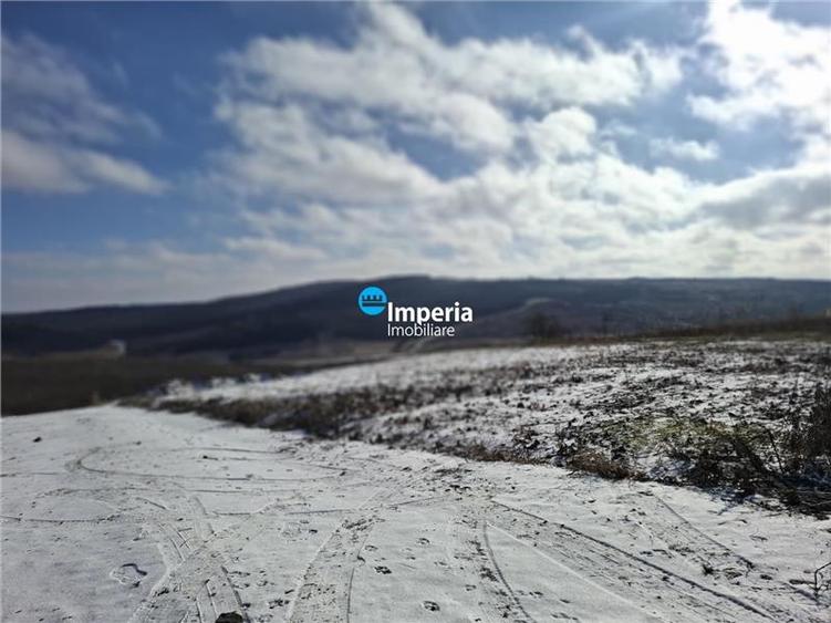 Dorobant - Aroneanu, teren intravilan pentru construit/investitie! - 6