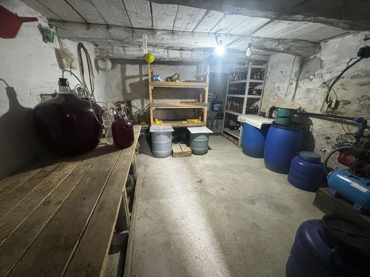 Casă 3 camere 100 M² cu 2360 M² teren - 18