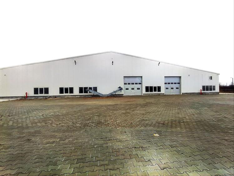 Teren 19000 mp si hala 1700 mp - 2