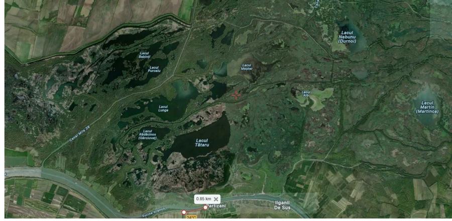 Vanzare proprietate 1,7 ha cu front direct la Dunare - 5