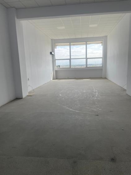 Hala Depozitare / Productie - Theodor Pallady - 2